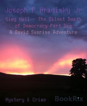 Cover of the book Sieg Heil - The Silent Death of Democracy Part One by Cathy Siebenblatt