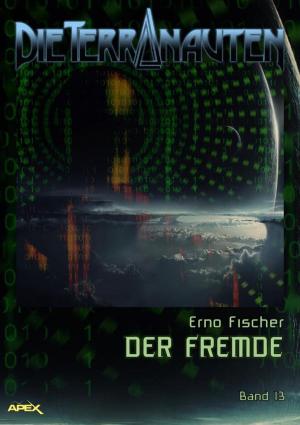 Cover of the book DIE TERRANAUTEN, Band 13: DER FREMDE by Sania Inggriani