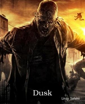 Cover of the book Dusk by Joseph P Hradisky Jr