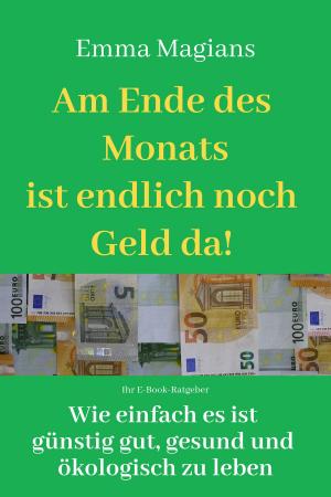 Cover of the book Am Ende des Monats ist endlich noch Geld da by Burghard Zacharias