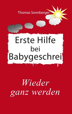 Cover of the book Erste Hilfe für schreiende Babys by Andreas Berger