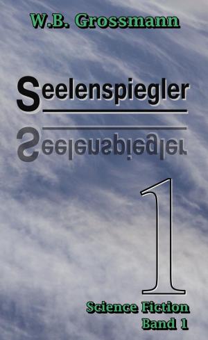 Book cover of Seelenspiegler Band 1