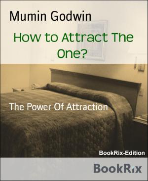 Book cover of How to Attract The One?