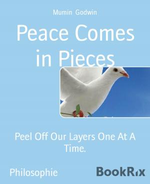 Cover of the book Peace Comes in Pieces by Eckard H. Krause, Klaus Douglass, Fabian Vogt
