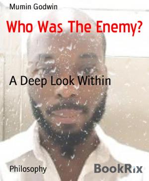 Cover of the book Who Was The Enemy? by Angelika Nylone