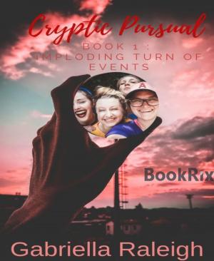 Cover of the book Cryptic Pursual by Mattis Lundqvist