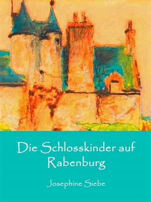 Book cover of Die Schlosskinder auf Rabenburg
