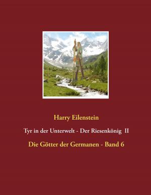 Book cover of Tyr in der Unterwelt - Der Riesenkönig II