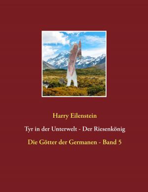 Cover of the book Tyr in der Unterwelt - Der Riesenkönig I by Roman Egger, Kurt Luger