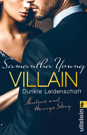 Cover of the book Villain – Dunkle Leidenschaft by Sebastian Schlösser