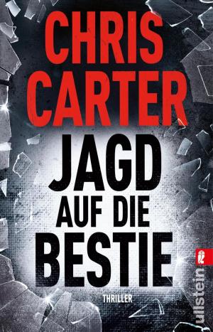 Cover of the book Jagd auf die Bestie by Åsa Hellberg