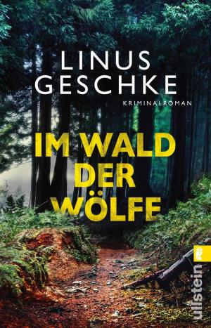 Cover of the book Im Wald der Wölfe by Stefan Ahnhem