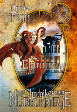 Cover of the book Die letzte Flamme by Judith Vogt, Christian Vogt