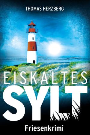 Book cover of Eiskaltes Sylt