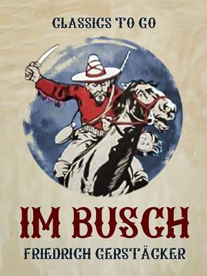 Cover of the book Im Busch by Alphonse Daudet