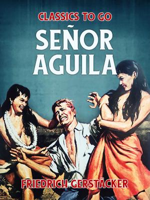 Cover of the book Señor Aguila by Rakesh Ranjan