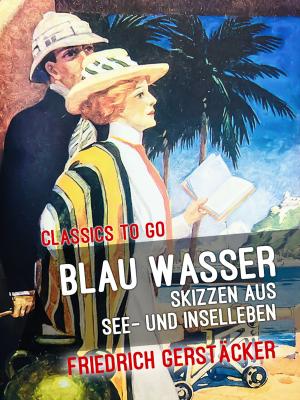 Cover of the book Blau Wasser Skizzen aus See- und Inselleben by Alphonse Daudet
