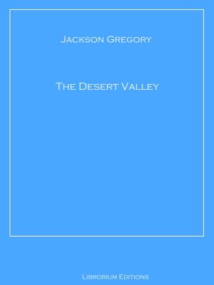 Book cover of The Desert Valley