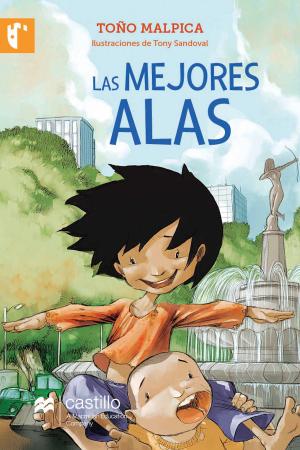 Cover of the book Las mejores alas by Ana Barahona, Erica Torrens