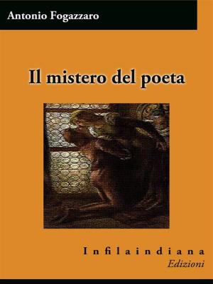 Book cover of Il mistero del poeta