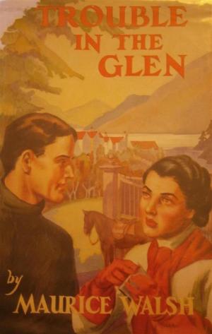 Book cover of Trouble in the Glen