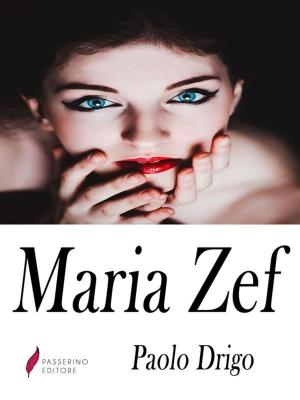 Cover of the book Maria Zef by Johann Wolfgang von Goethe