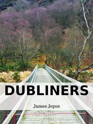 Cover of the book Dubliners by Michael Klerck