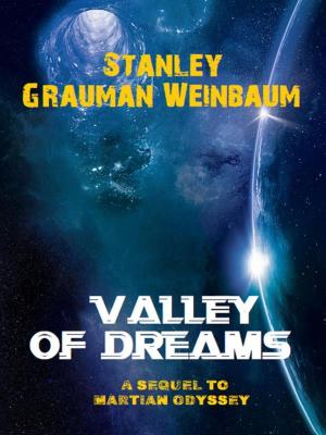 Cover of the book Valley of Dreams by Edgar Allan Poe