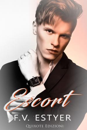 Cover of the book Escort by Seth King