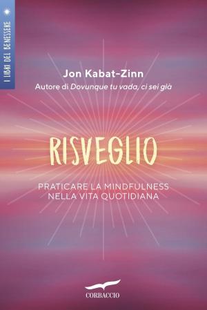 Cover of the book Risveglio by Joe Simpson
