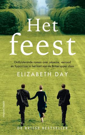 bigCover of the book Het feest by 