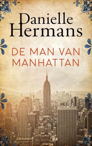 Cover of the book De man van Manhattan by Hugh Vest