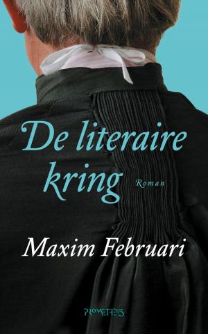 Cover of the book De literaire kring by Joost Lagendijk