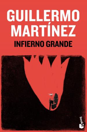 Cover of the book Infierno grande (Ed. Conmemorativa) by Francisco Ortega, Nelson Daniel
