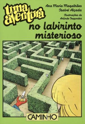 bigCover of the book Uma Aventura no Labirinto Misterioso by 