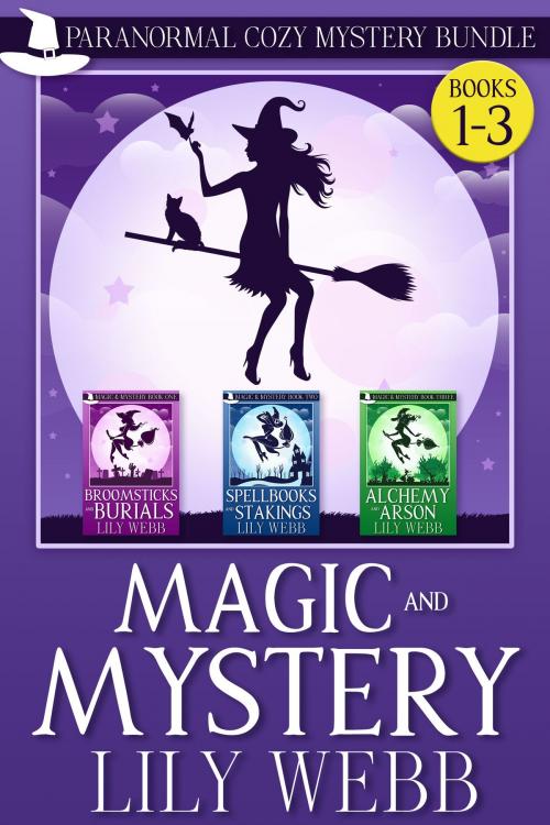Cover of the book Magic and Mystery by Lily Webb, Lily Webb