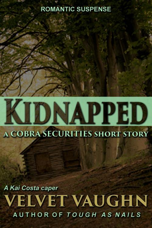 Cover of the book Kidnapped by Velvet Vaughn, Velvet Vaughn LLC
