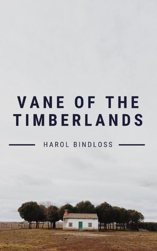 Cover of the book Vane of the Timberlands by Harol Bindloss, anamsaleem