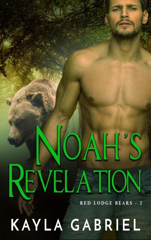 Cover of the book Noah's Revelation by Kayla Gabriel, KSA Publishers