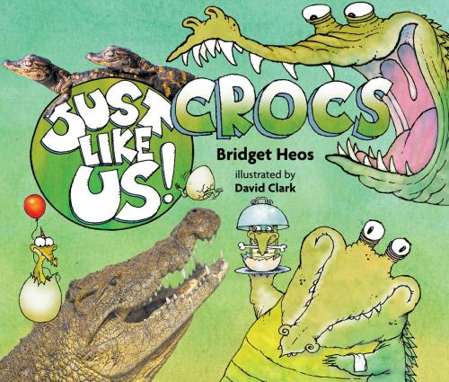 Cover of the book Just Like Us! Crocs by Bridget Heos, HMH Books