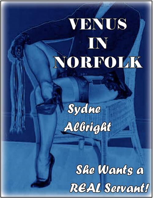 Cover of the book Venus In Norfolk by Sydne Albright, Lulu.com