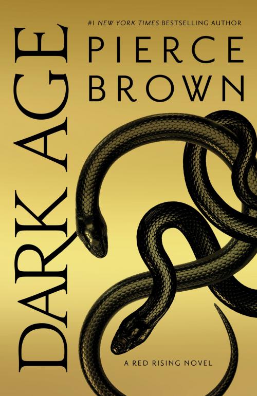 Cover of the book Dark Age by Pierce Brown, Random House Publishing Group