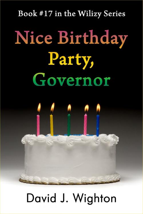 Cover of the book Nice Birthday Party, Governor by David J. Wighton, David J. Wighton