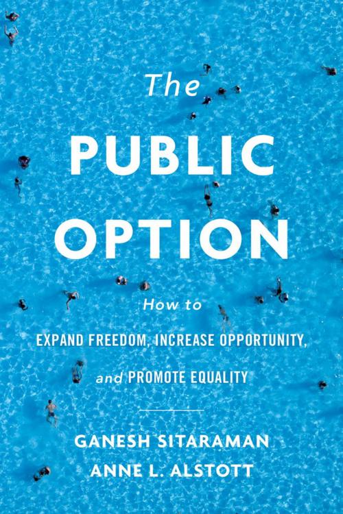 Cover of the book The Public Option by Ganesh Sitaraman, Harvard University Press