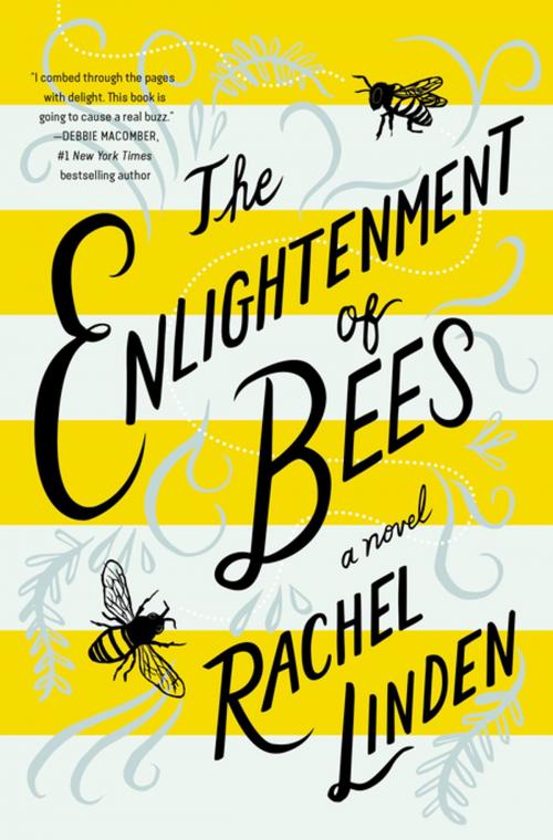 Cover of the book The Enlightenment of Bees by Rachel Linden, Thomas Nelson