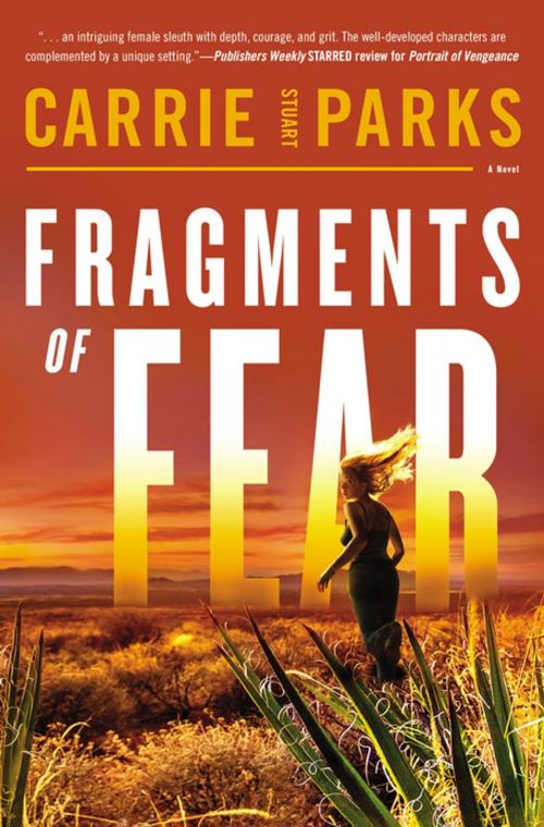 Cover of the book Fragments of Fear by Carrie Stuart Parks, Thomas Nelson