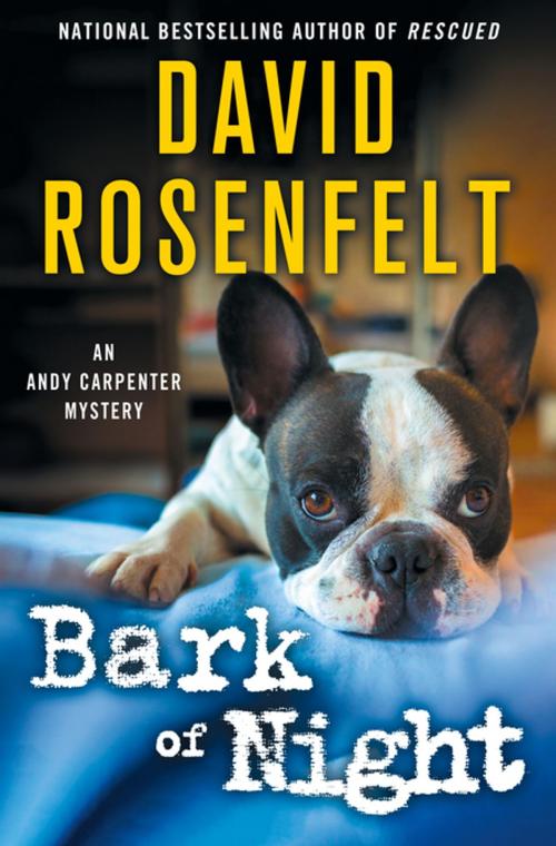 Cover of the book Bark of Night by David Rosenfelt, St. Martin's Publishing Group
