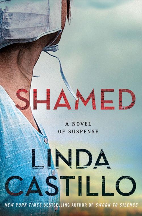 Cover of the book Shamed by Linda Castillo, St. Martin's Publishing Group