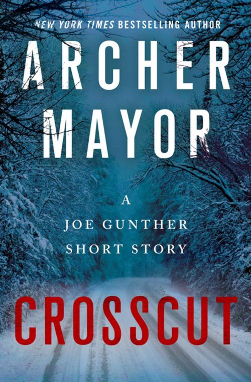 Cover of the book Crosscut by Archer Mayor, St. Martin's Press