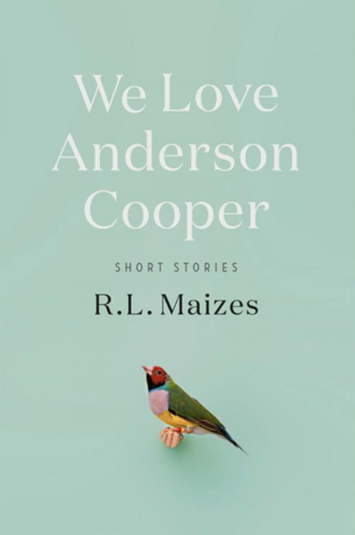 Cover of the book We Love Anderson Cooper by R.L. Maizes, Celadon Books